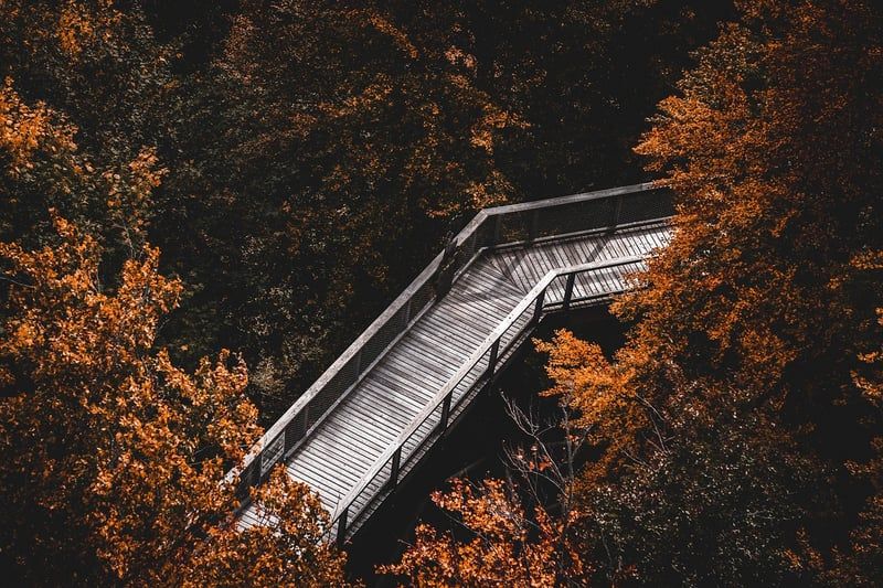 chemin