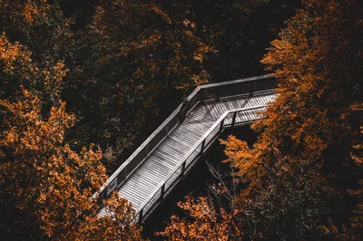 chemin
